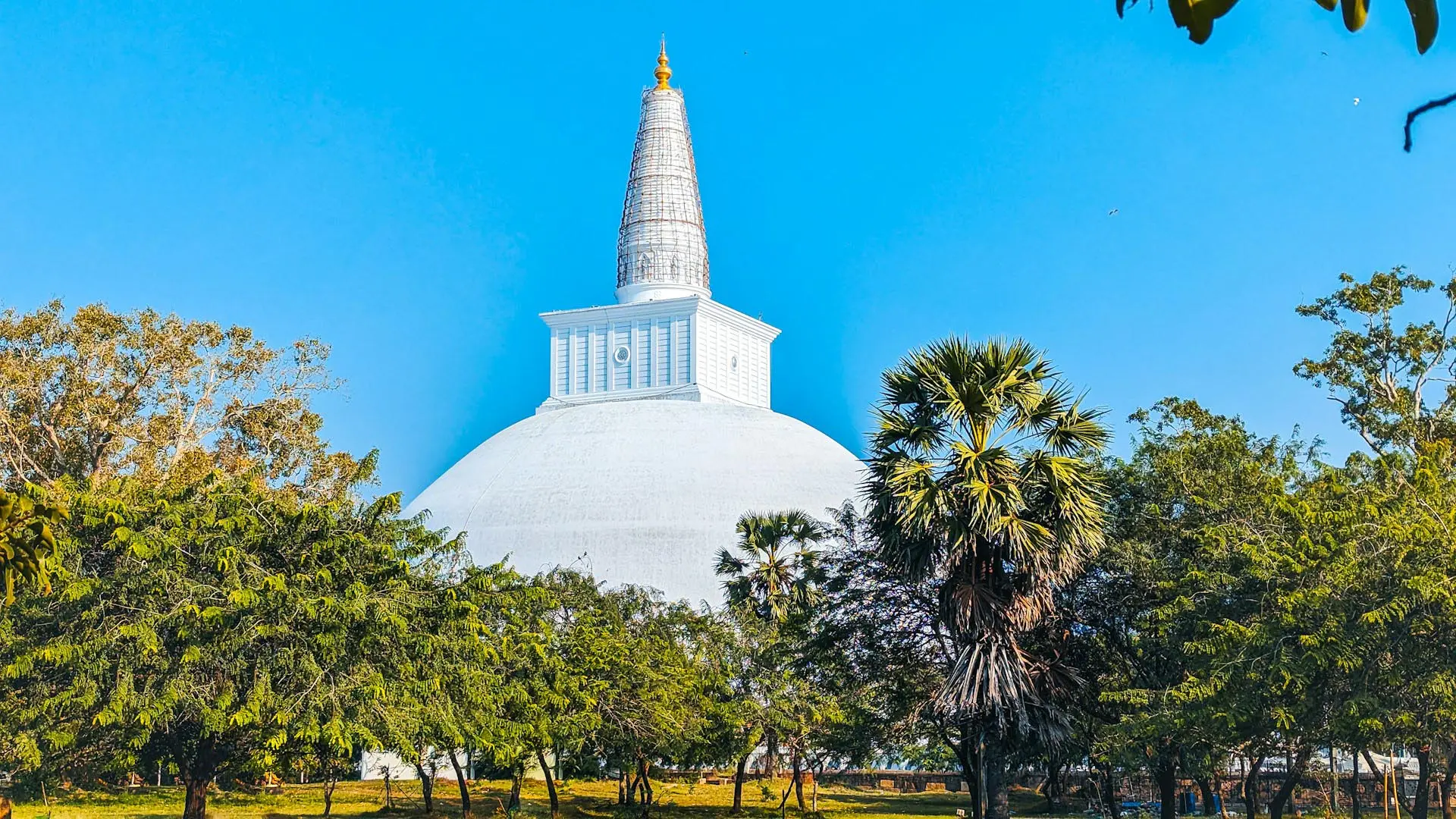 Majestic Ruwanweli Maha Seya stupa with golden spire amidst lush trees under a clear blue sky.