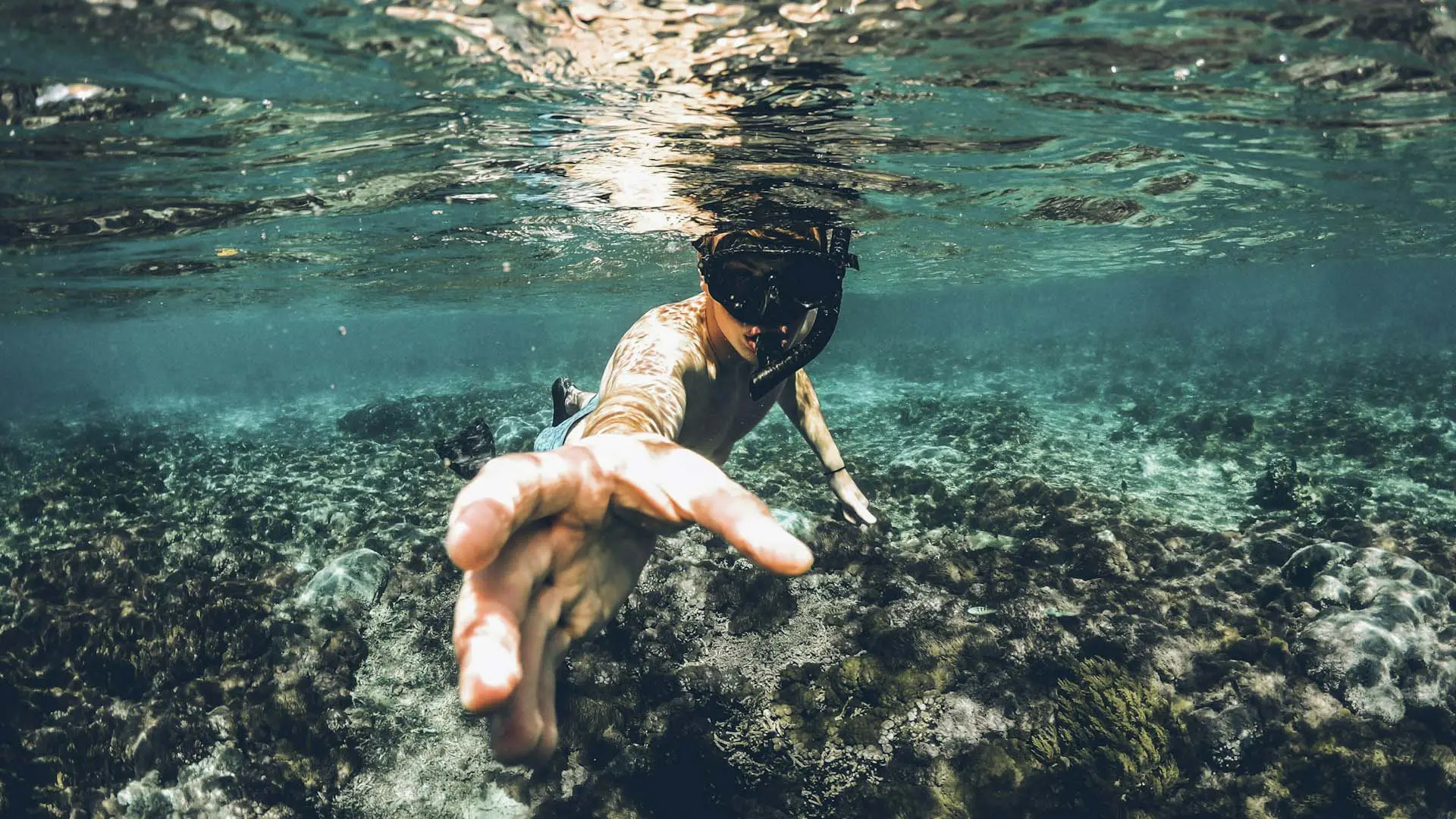 Snorkeling over vibrant coral reefs in the clear waters of Bentota.