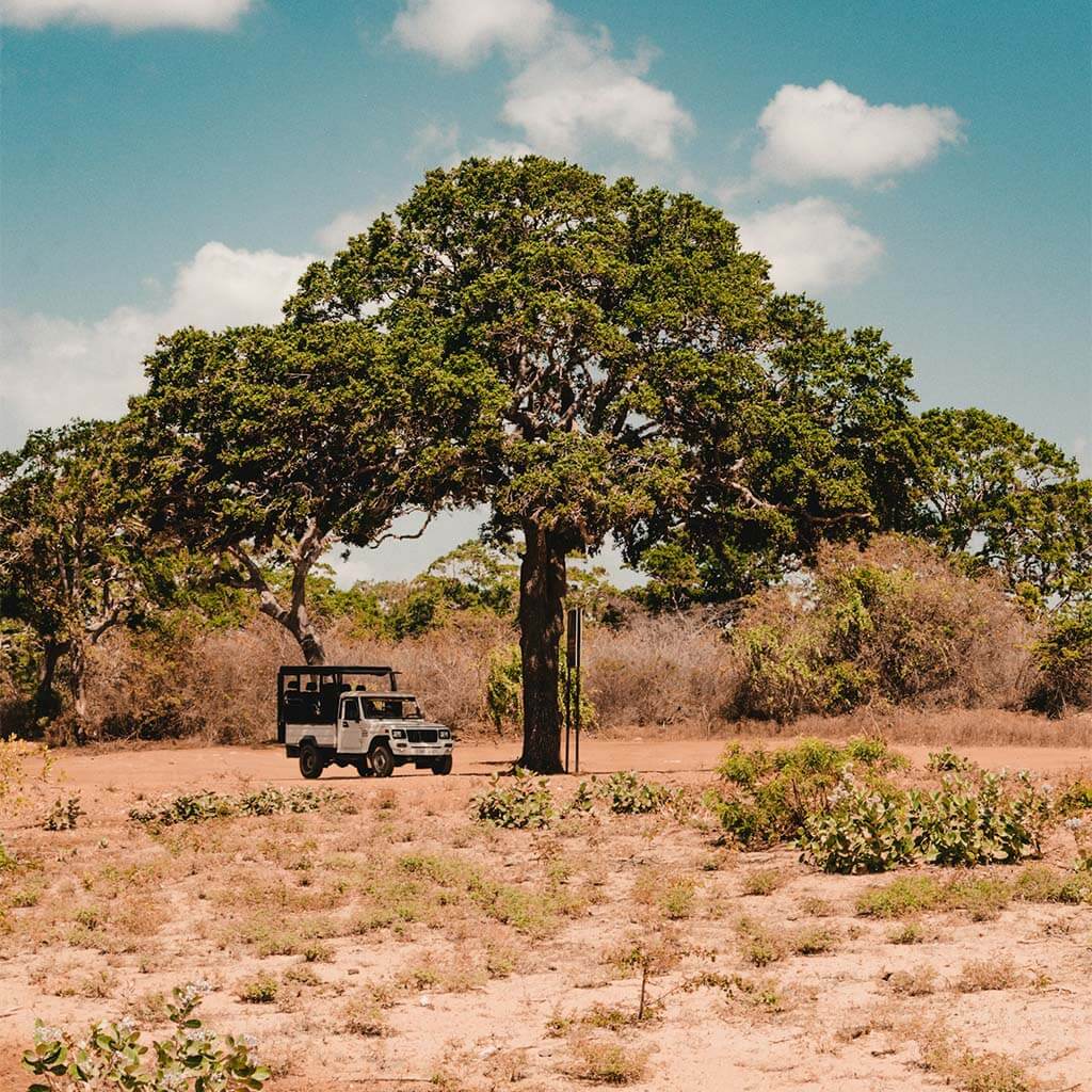 Fortnight Expedition