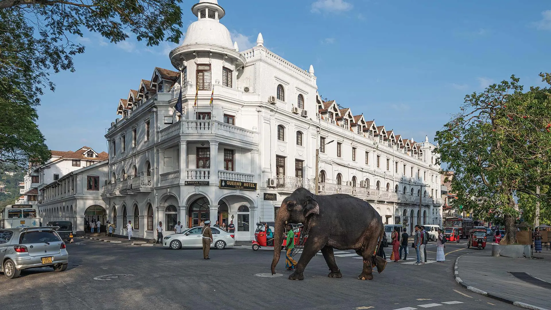 Elephant walking in front of the historic Queens Hotel in Kandy town.