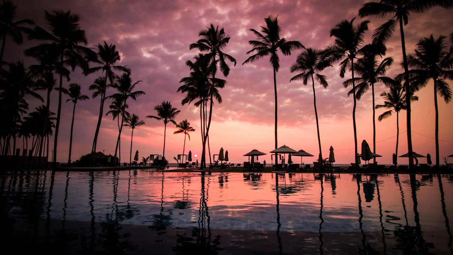 Negombo Beach at sunset with a pink and purple sky, silhouetted palm trees, and reflections in a calm pool with beach umbrellas.