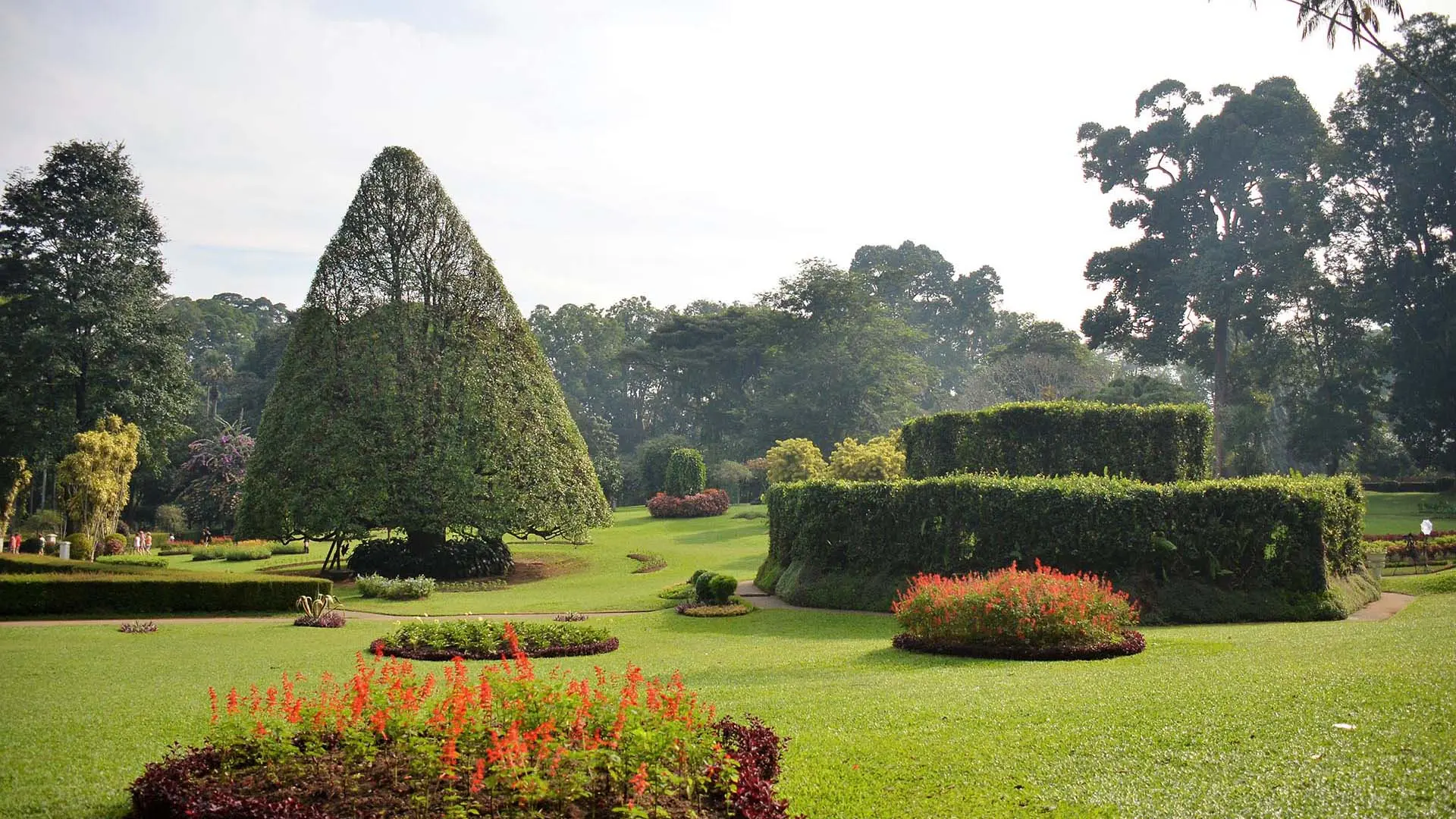 Manicured hedges and vibrant flowers in the lush Royal Botanic Gardens, Peradeniya.
